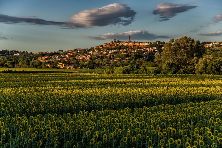Peccioli trionfa: Il ‘Borgo dei Borghi’ del 2024