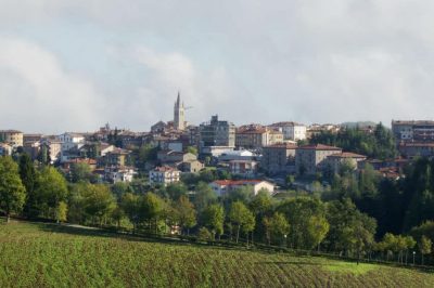 Zocca