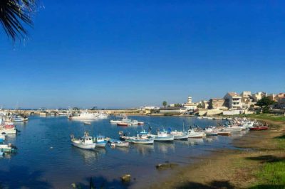 Scoglitti