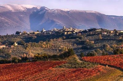 Montefalco: Sagrantino, San Francesco e le cantine dei frati