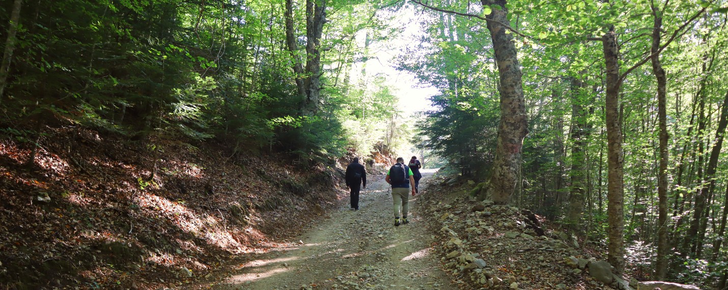 Aspromonte
