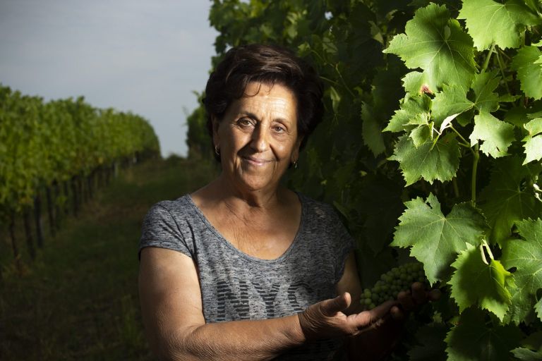 A Bertinoro una Full Experience in Tenuta la Viola