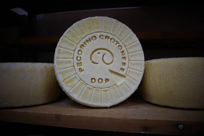 Il Marchesato Crotonese: patria del Pecorino Crotonese DOP