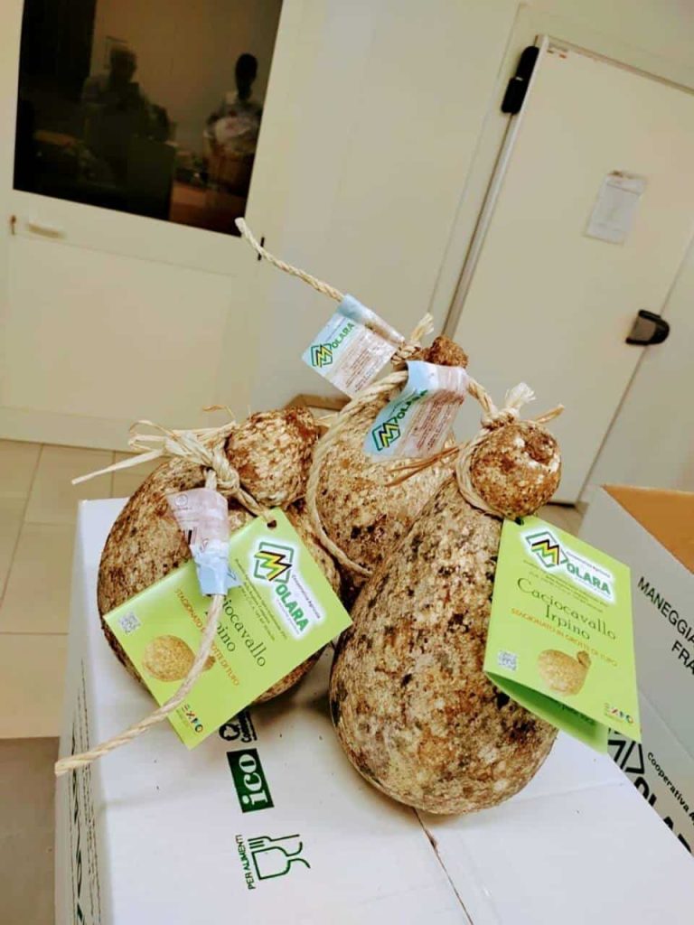 Cooperativa Agricola Molara