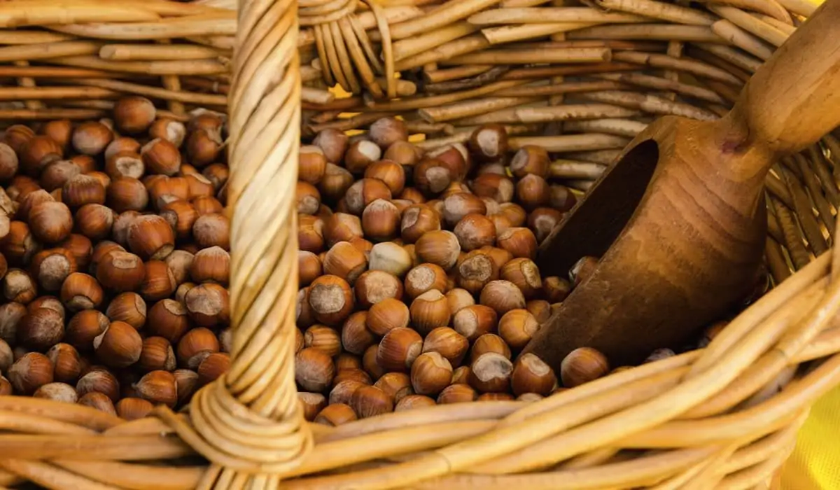 Hazelnut Fair in Castagnole Lanze