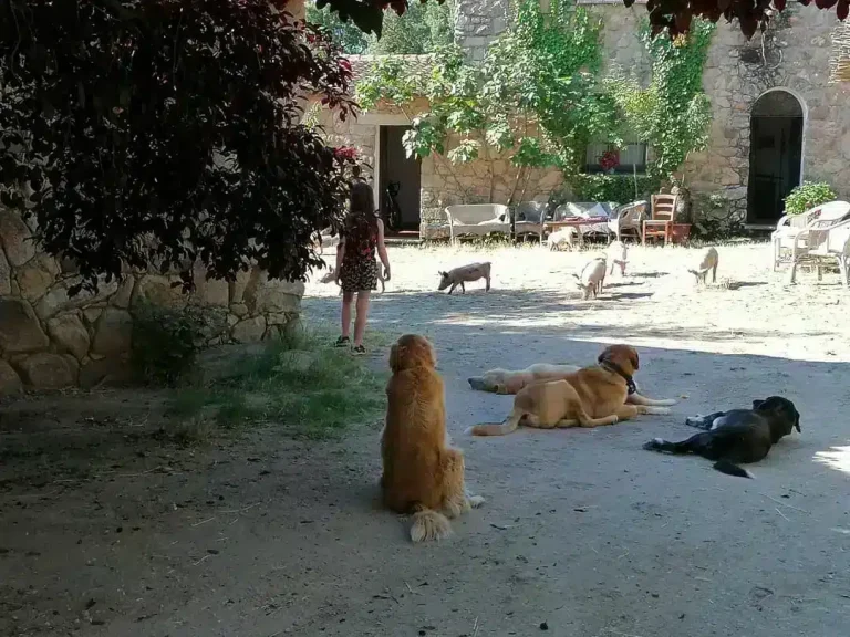 Agriturismo Il Muto di Gallura