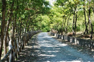 Parco Comunale del Farneto ‘G. De Rosa’