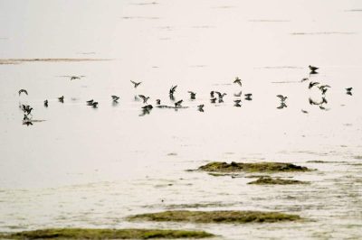 Riserva Naturale della Valle Cavanata