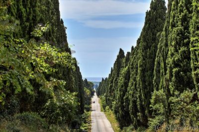Bolgheri è poesia