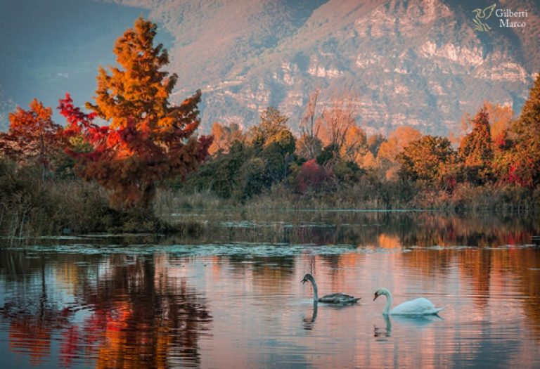 Romantic weekend getaway: Lovere and Lake Iseo