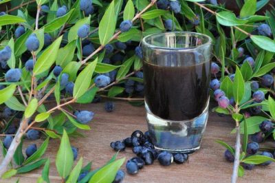 Ricetta: Mirto, sorsi di benessere dai borghi della Sardegna