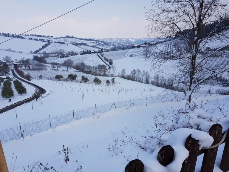 Agriturismo Le Lucciole