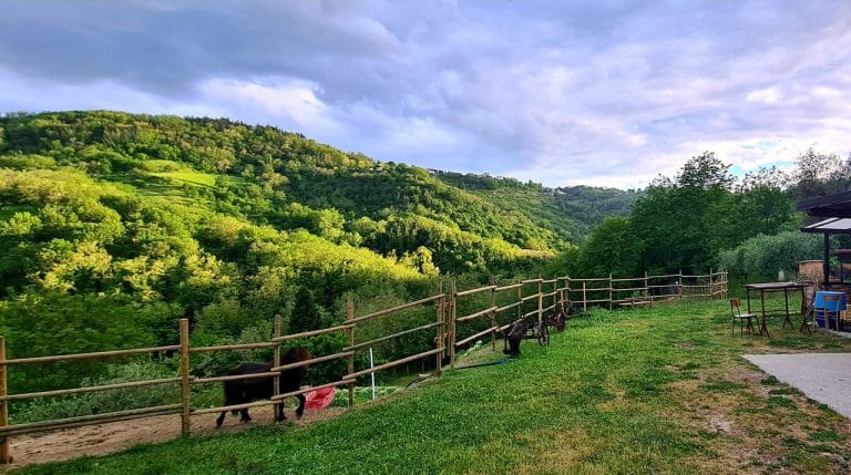 Agriturismo Le Lucciole
