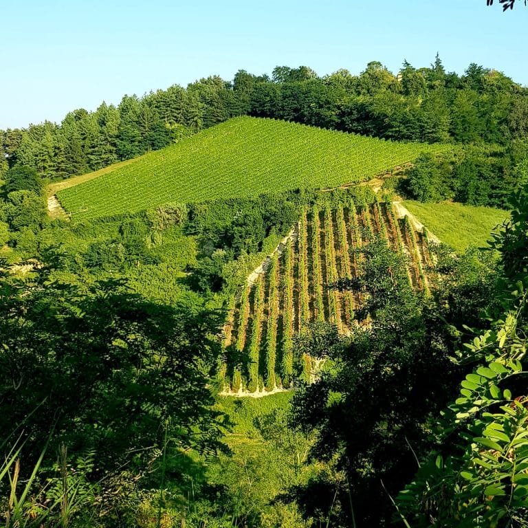 Agriturismo Le Lucciole