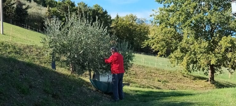 Agriturismo Le Lucciole