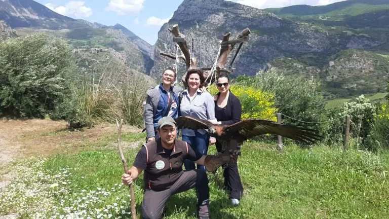 Il fantastico mondo dei Rapaci