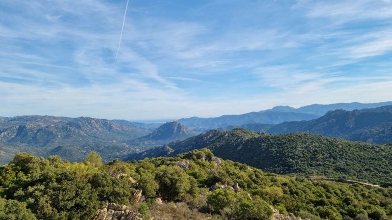 Foreste Aperte nel Parco di Tepilora 2025: quattro weekend tra natura, tradizioni e sostenibilità