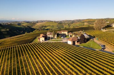 Langhe Wine Tasting e Pranzo Tradizionale