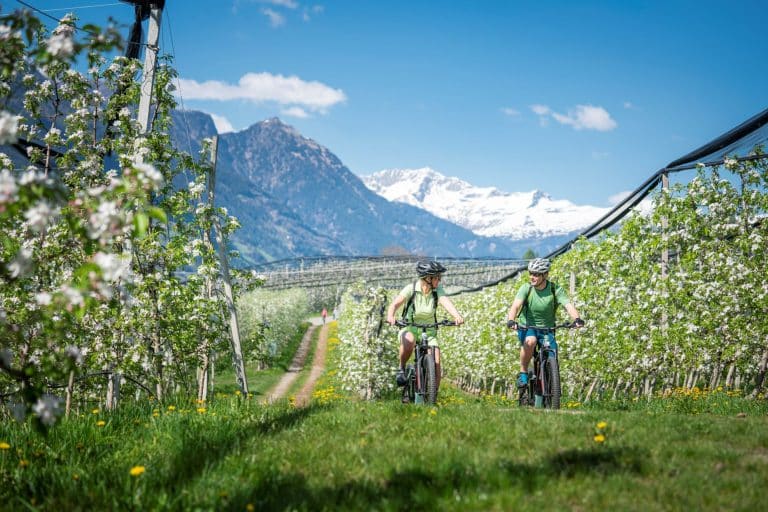 Scena goes green: il futuro sostenibile nel cuore dell’Alto Adige
