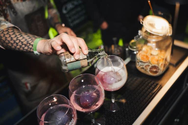 Gin Festival “CAUSE I’M G&T” 2026: il gusto del gin tra storia, spettacolo e divertimento