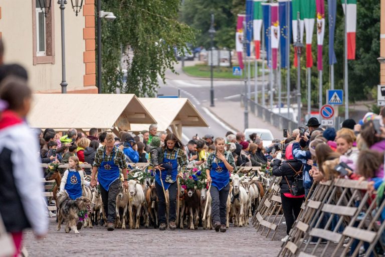 La Desmontegada de le caore 2026