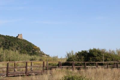 Torre del Telegrafo