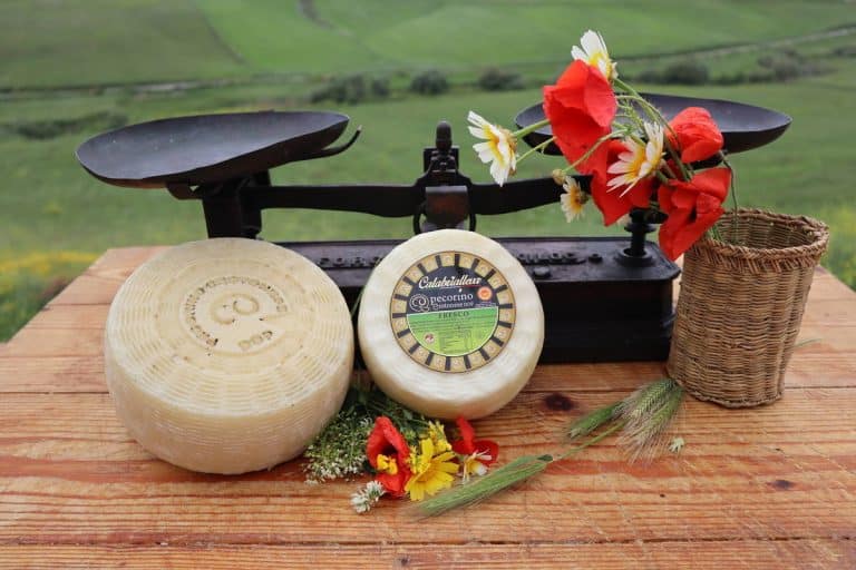 Pecorino Crotonese DOP Fresco