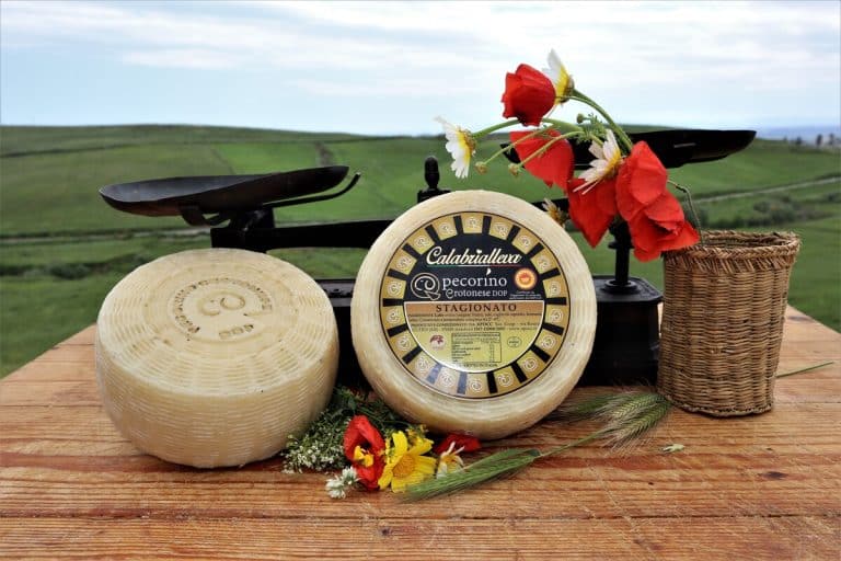 Pecorino Crotonese DOP Stagionato